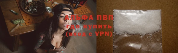 мяу мяу мука Магас