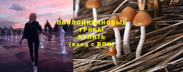 стафф Магадан