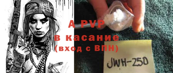 стафф Магадан