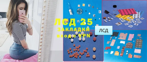 мяу мяу мука Магас