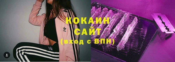 мяу мяу мука Магас